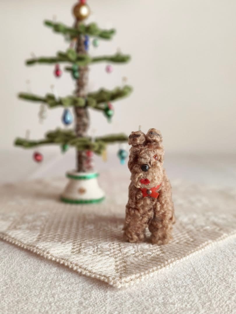 vintage dog ❀ クルクル巻き毛がキュートな ワンちゃん いぬ いさん