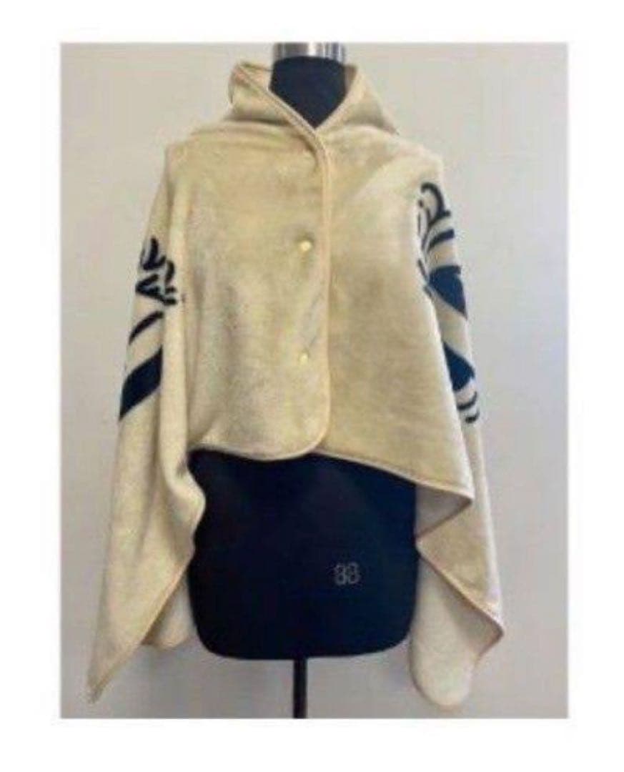 THE BIRTHDAY ポンチョブランケット チバユウスケ ルードギャラリー