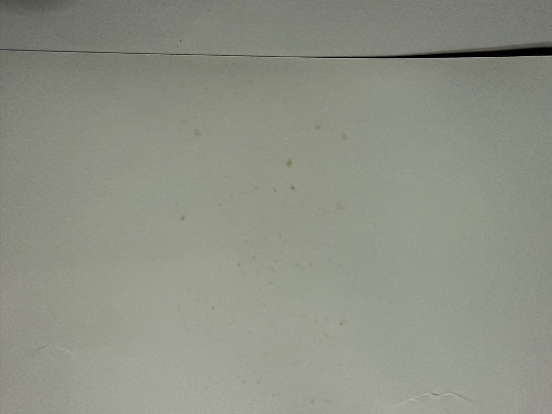 広瀬すずポスター【本人直筆サイン入り】【イベント限定特典】【非売品】在庫1点限り