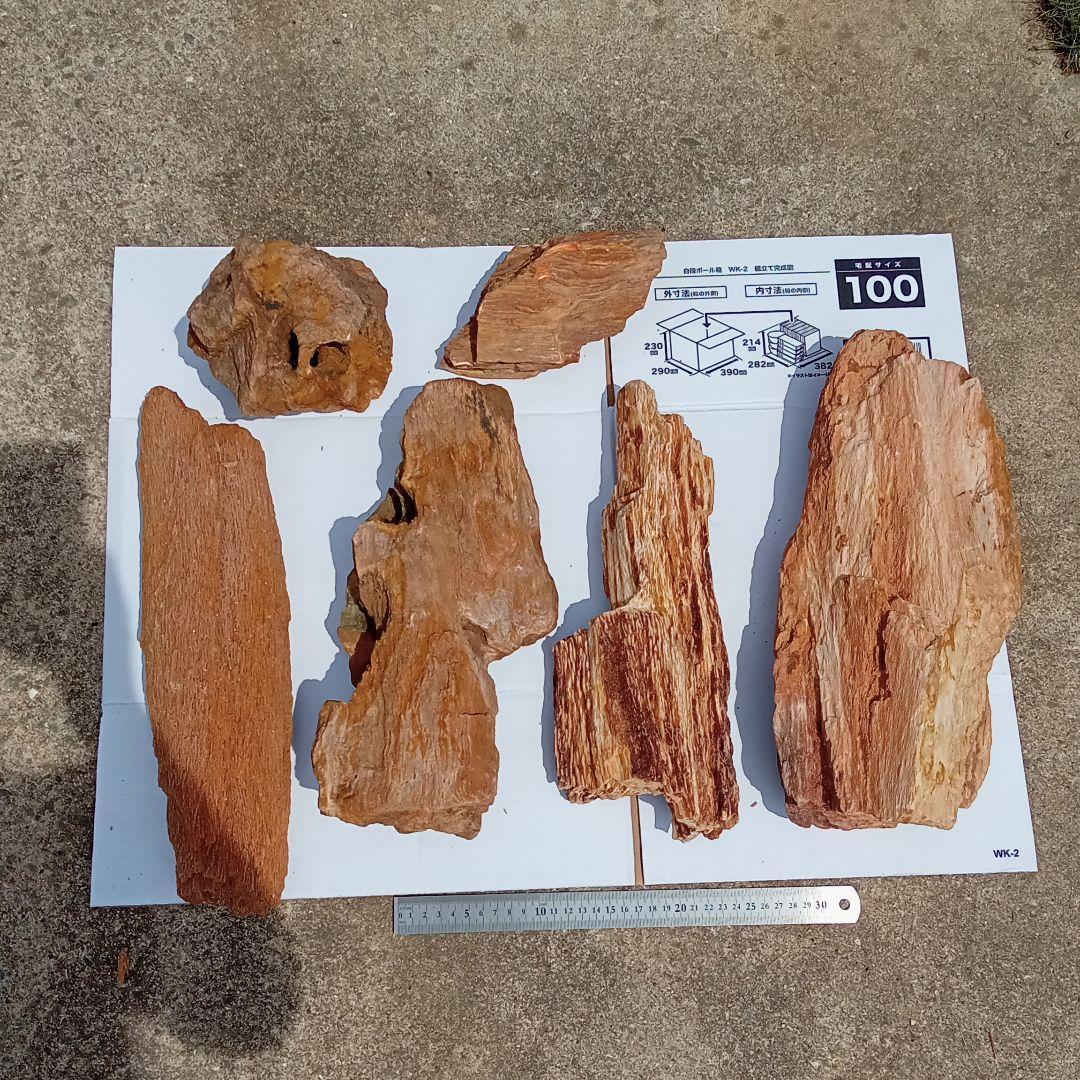 木化石01 約18kg アクアリウム 水槽 レイアウト 石