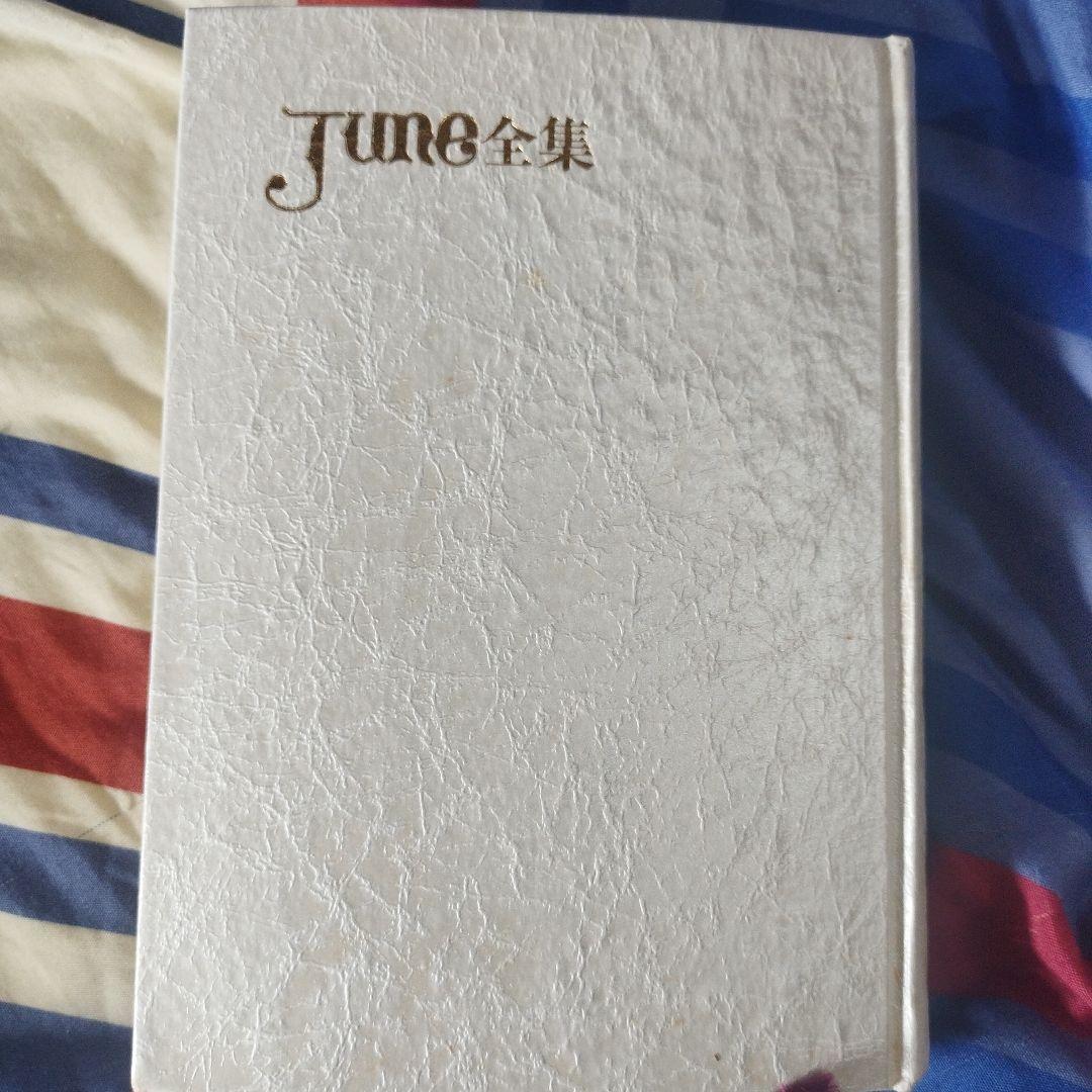 BL小説 吉原理恵子 JUNE全集