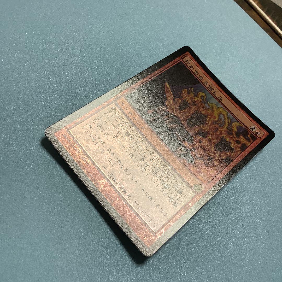 分かち合う憎しみ/Shared Animosity  MOR日本語foil