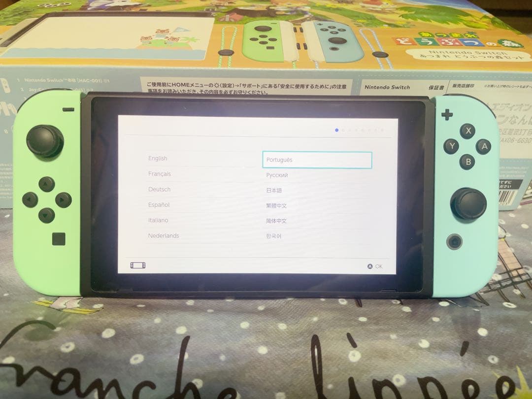 Nintendo Switchあつまれどうぶつの森セット ケース付き