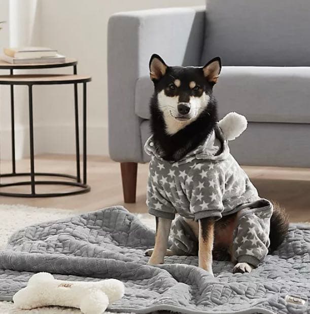 UGG ドックウェア ペット 服 レア 星 S M アグ かわいい