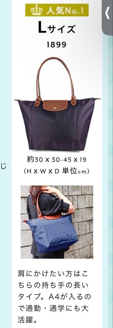 ロンシャン　ルプリーアージュ