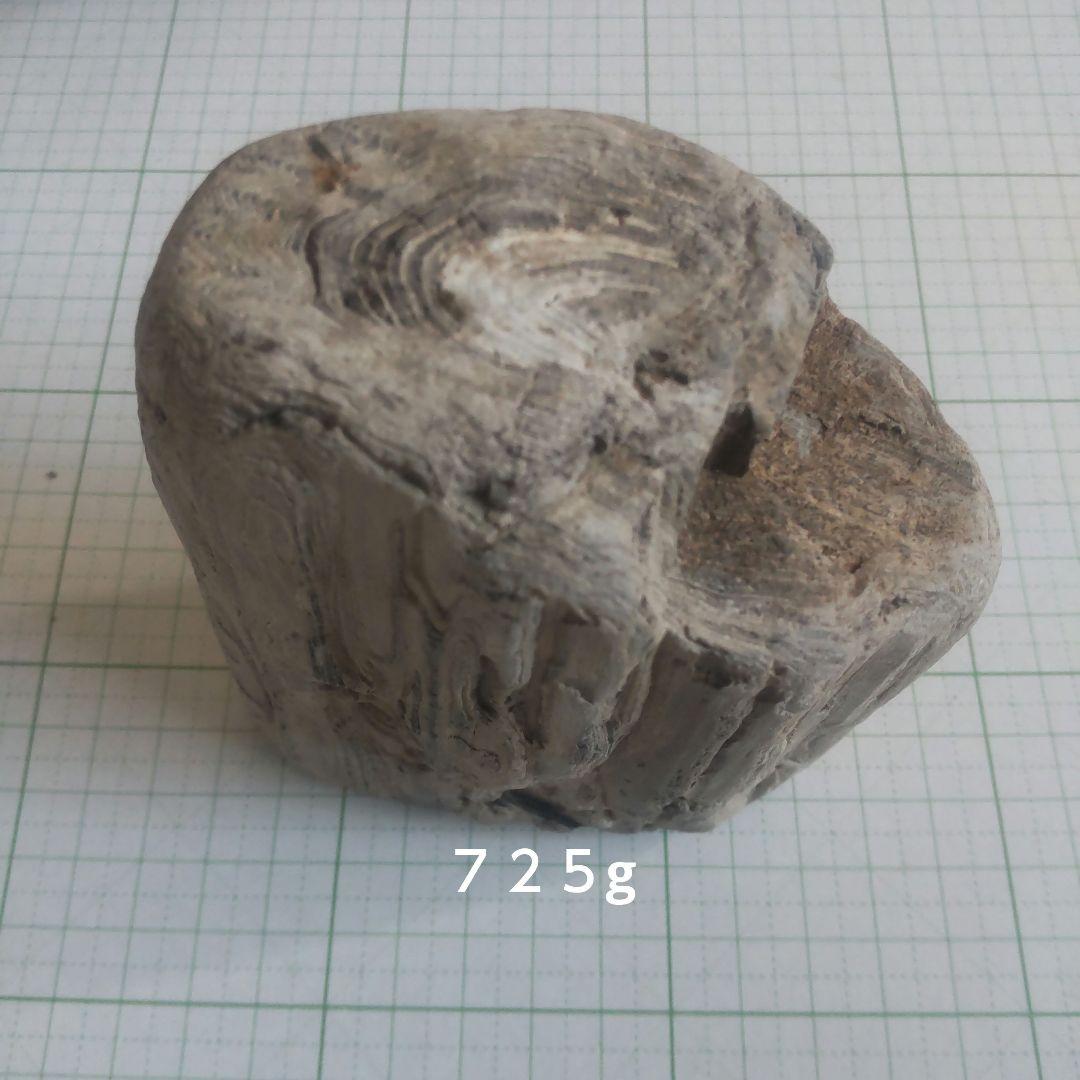 BM様専用、珪化木セット