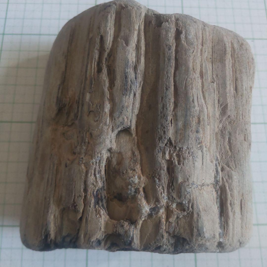 BM様専用、珪化木セット