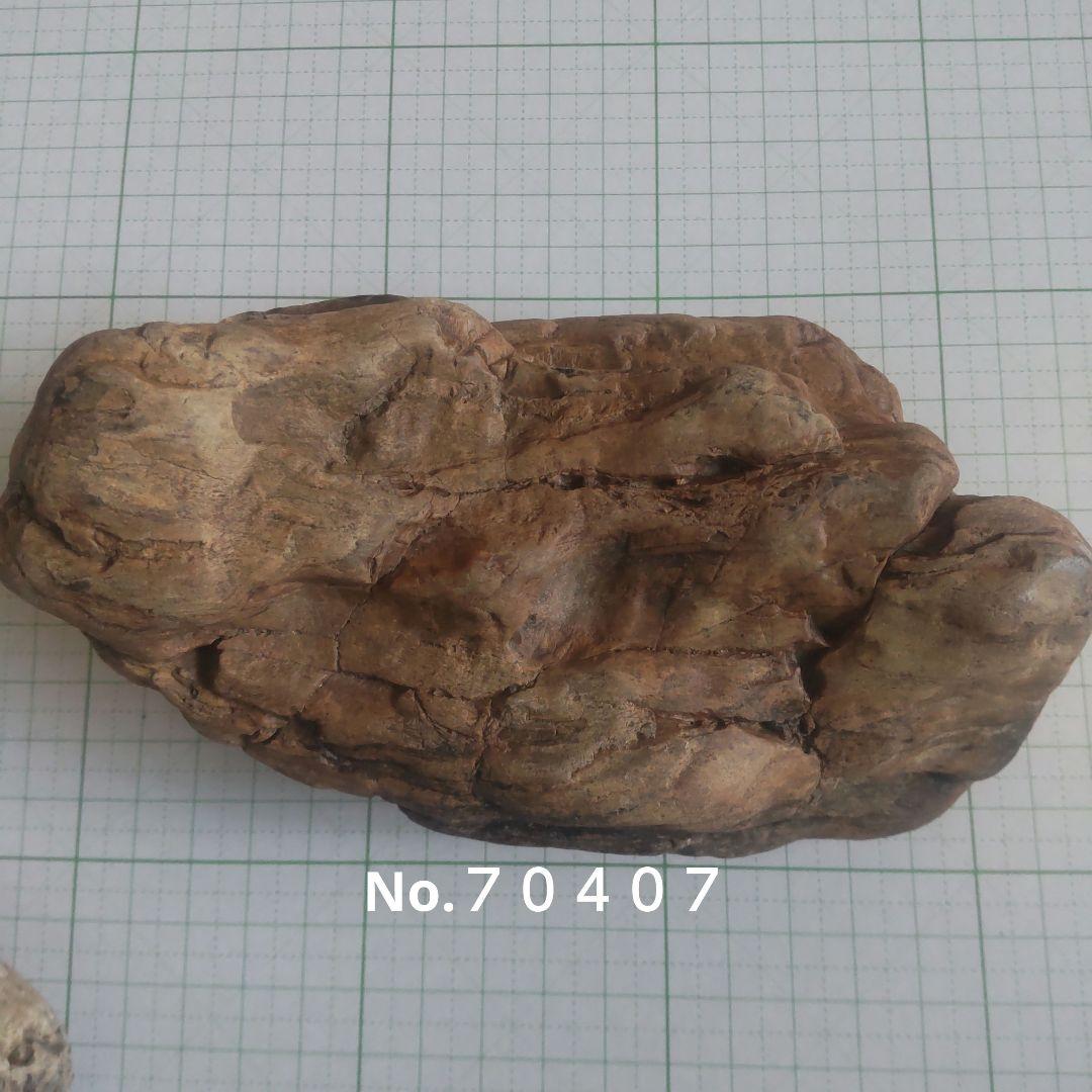 BM様専用、珪化木セット