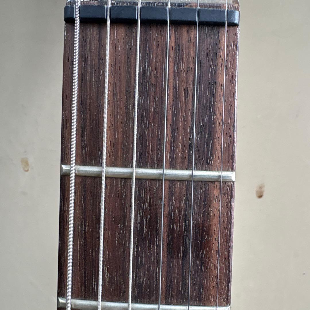 ⭐️希少⭐️ Aria Pro II（アリアプロII）　Black Dog