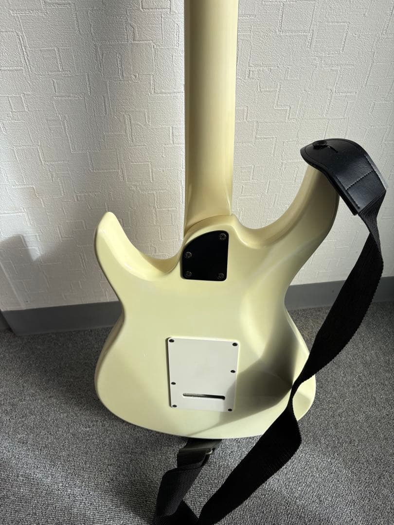 ⭐️希少⭐️ Aria Pro II（アリアプロII）　Black Dog