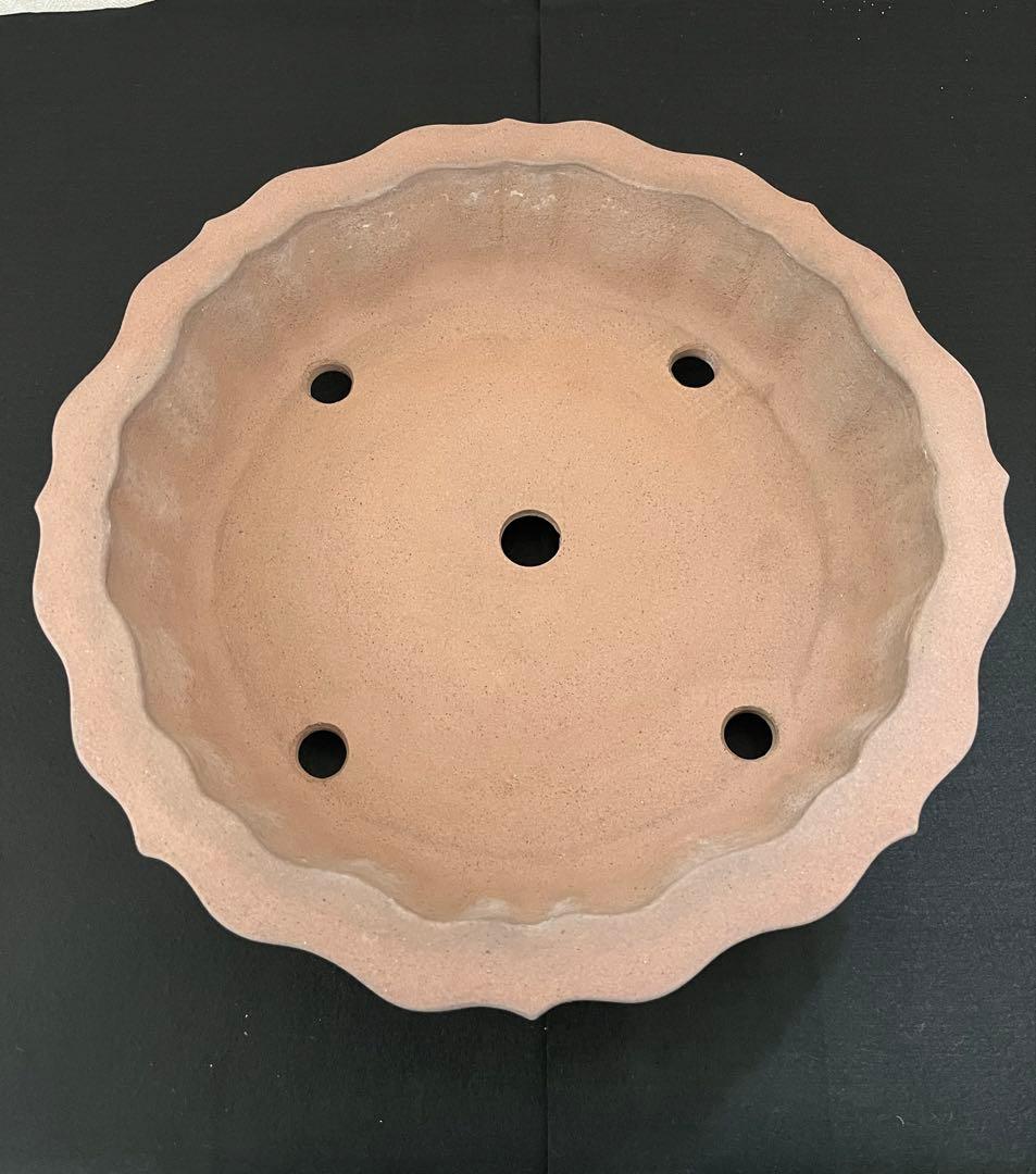 盆栽鉢 植木鉢 輪花鉢 佳山