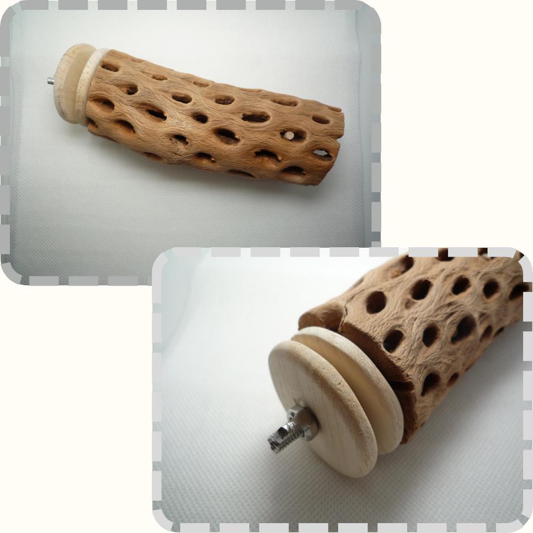 鳥用品 止まり木 カクタス スケルトン パーチ Mサイズ ピピちゃん工房