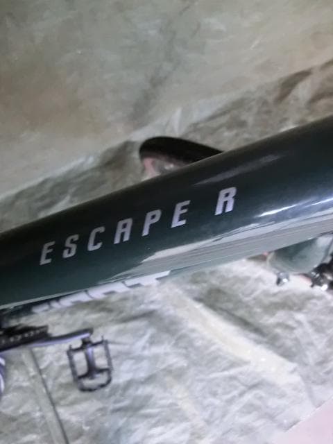 44：GIANT ESCAPER R　ジャンク　引取限定：埼玉県所沢市