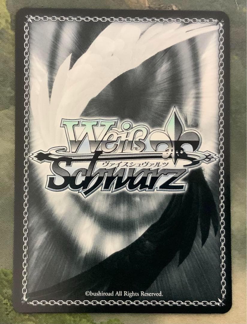 ヴァイス/AGR/直筆/サイン/豊川祥子/Ave Mujica/オブリビオニス 【CM