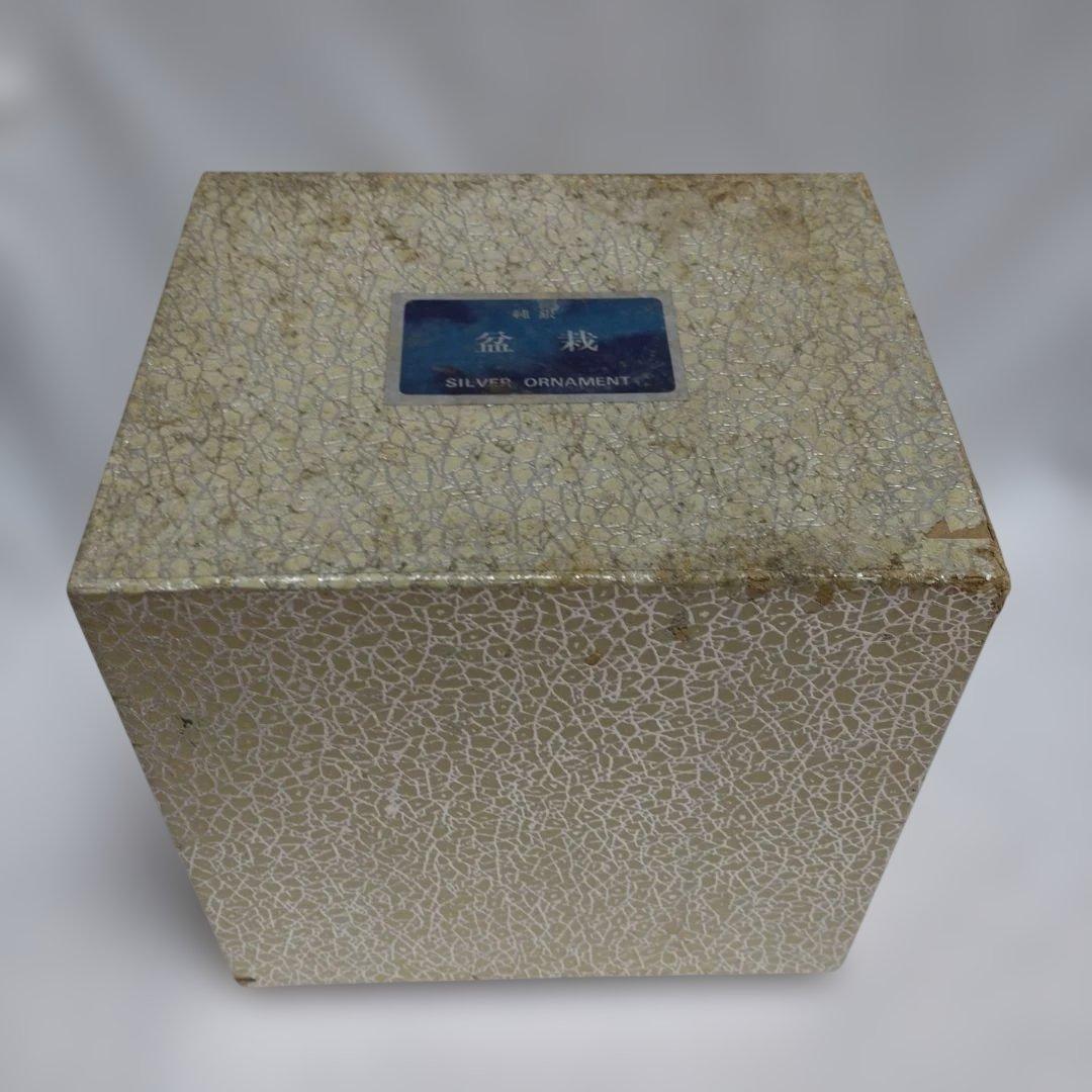 純銀製 光則作 盆栽 2号「松」ガラスケース・紙箱付き