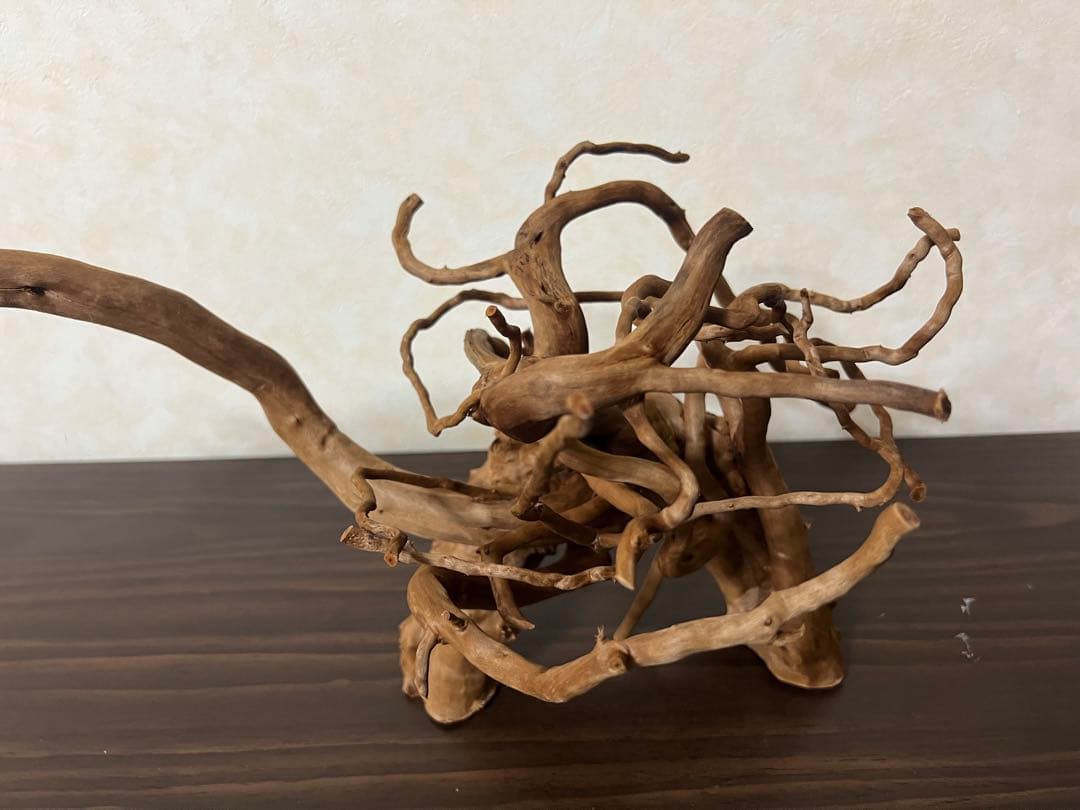 71015 ブランチウッド 流木 アクアリウム 沈水確認済 71015 ブランチ