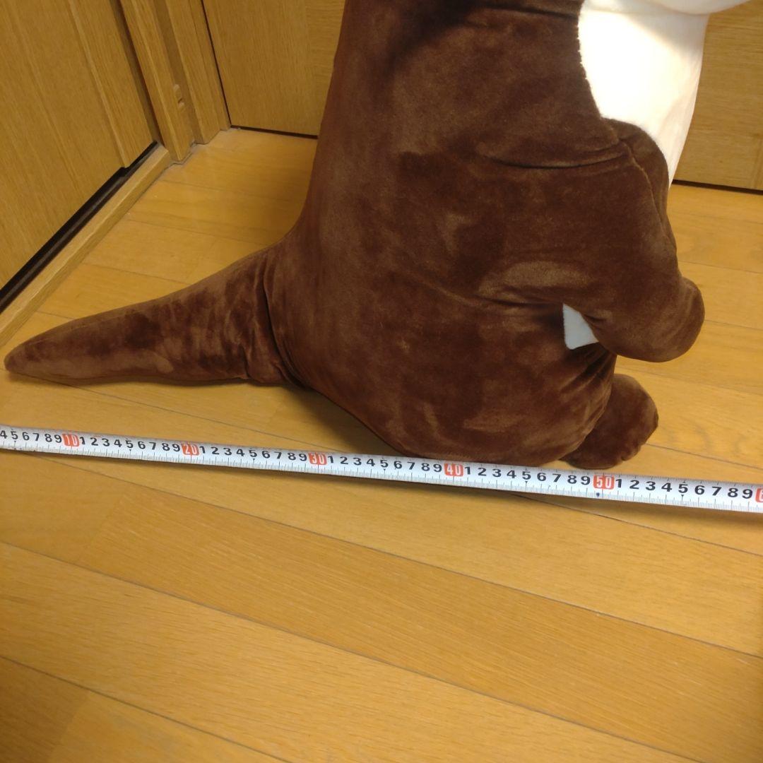 南知多ビーチランド　かわうそ特大