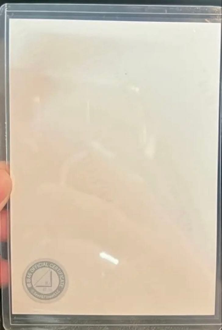 目黒陽色 サイン ヨリ 直筆 生写真 櫻坂46 4期生 お披露目会 制服