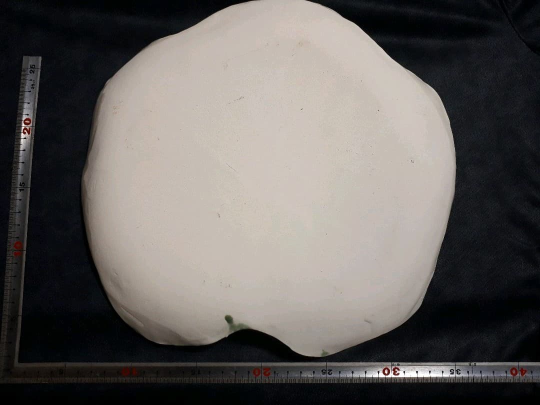 値下げ‼️陶楽窯 桑原リエ作 白地緑釉葉脈皿