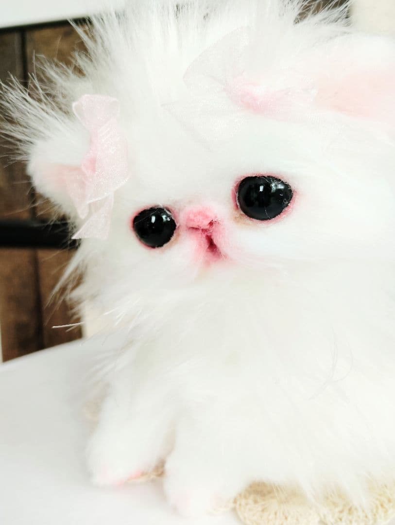 きゅるんオメメ♡子猫のレモンちゃん♡エキゾチック♡アートドール