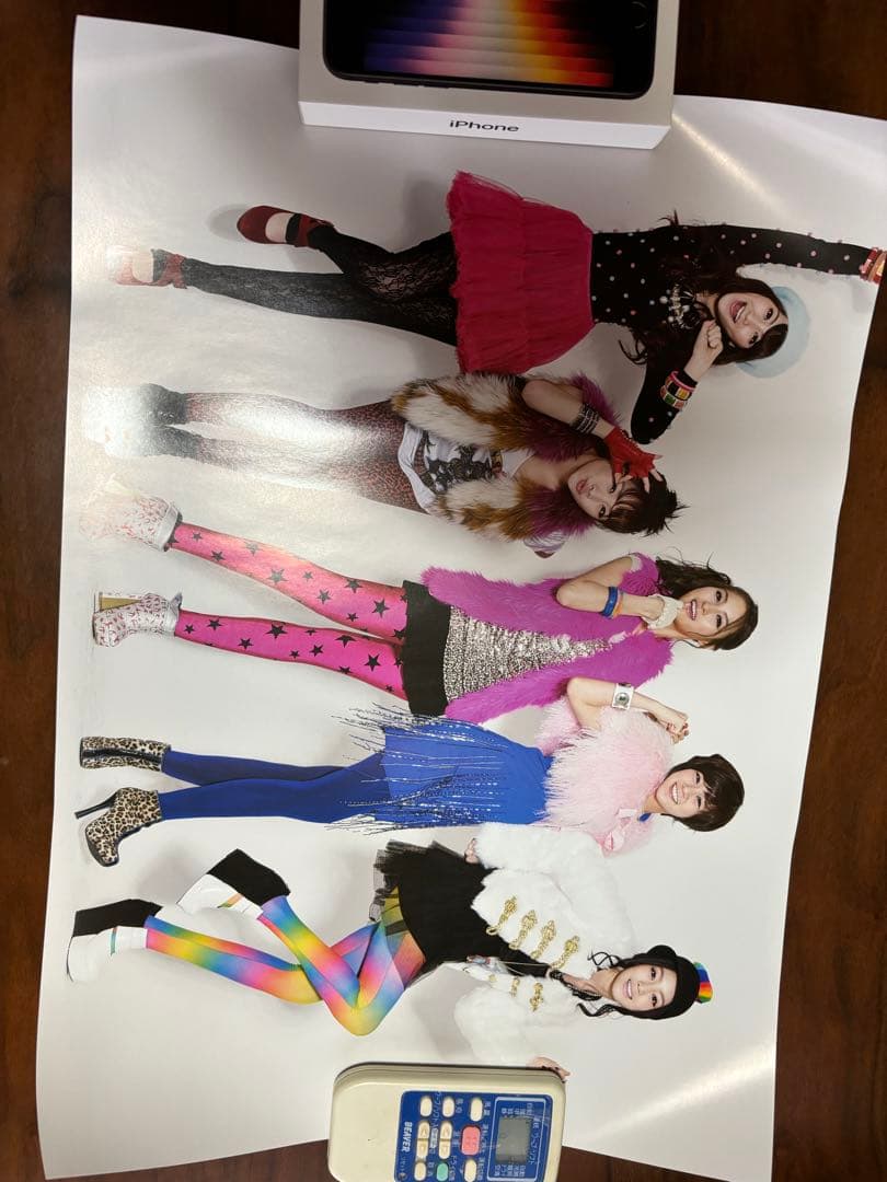 KARA 公式ポスターセット 30枚 新品