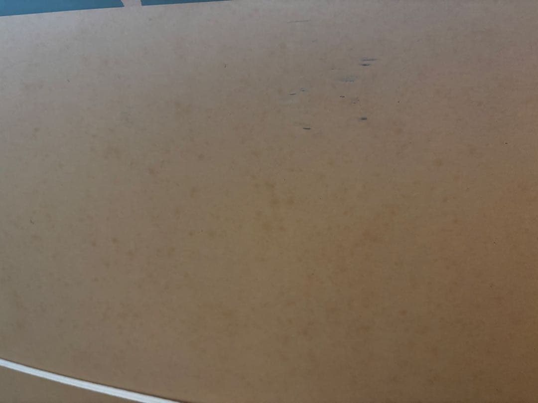 ラッセン エンチャンテッドエンカウンター(L) ディズニー 直筆サイン