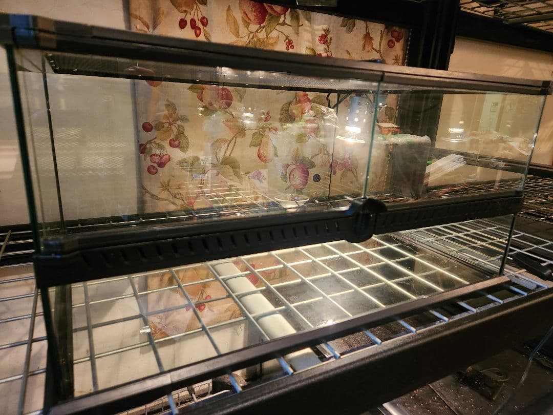 引取レインフォレストタンクL low中古1台 マイクロサン28w 中古1台 猫