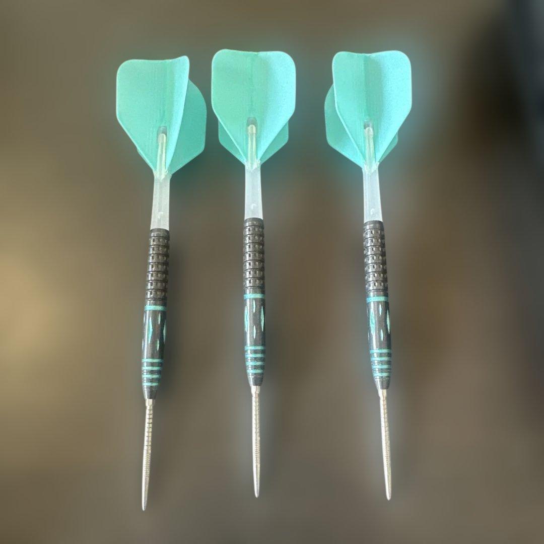 鈴木未来　THE MIRACLE ザ・ミラクル　スイスポイントハードダーツバレル