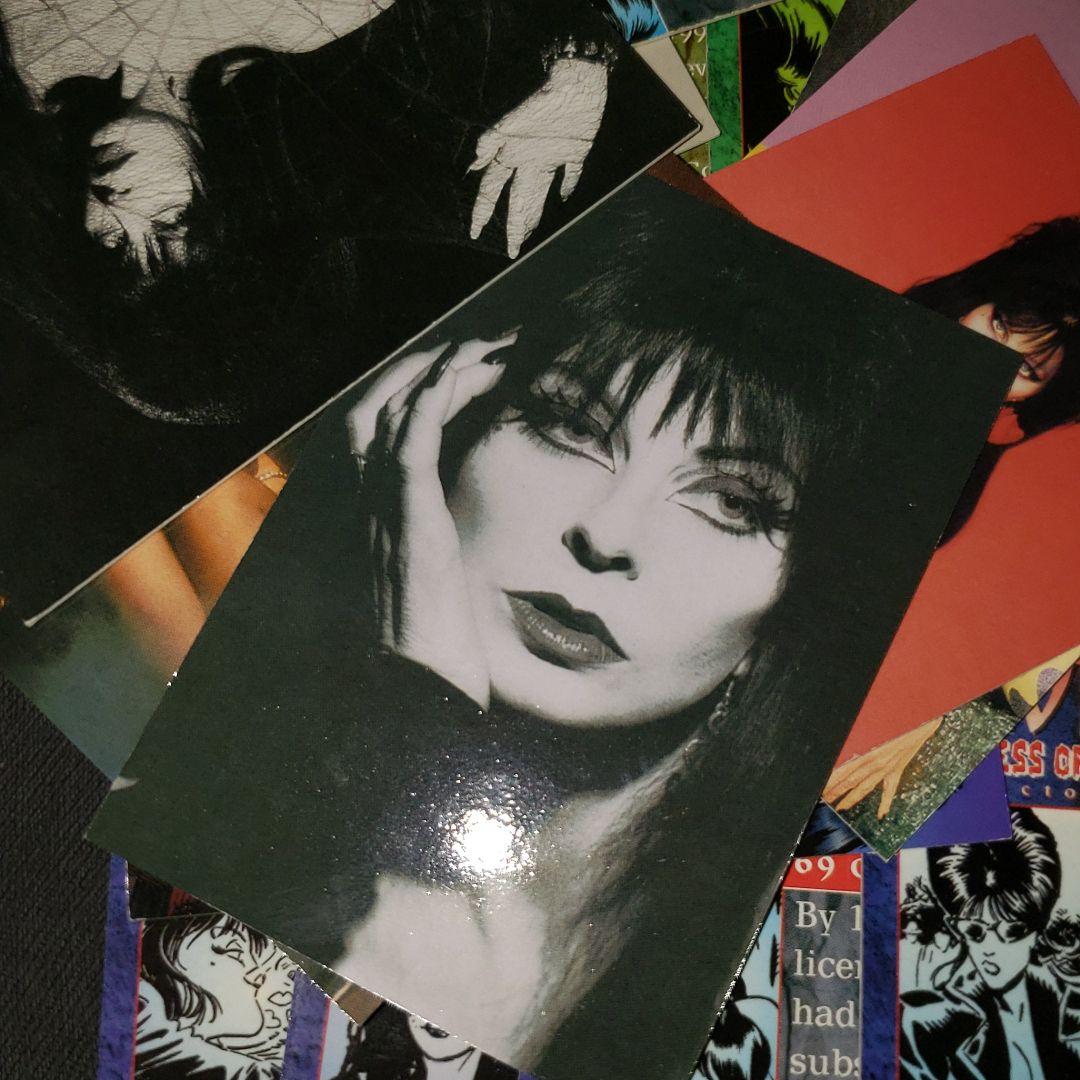 エルヴァィラ ELVIRA MISTRESS OF THE DARK (35)