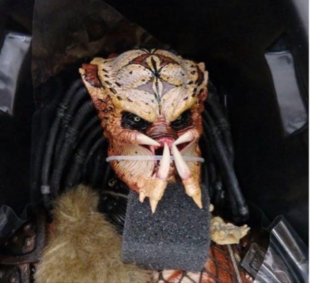 ❗️未使用　完品　最安値❗️ホットトイズ　シャドー　プレデター