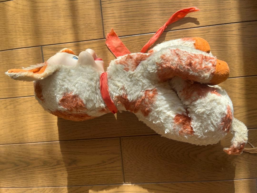 ラシュトン　ラバーフェイス　Rushton Star Creation