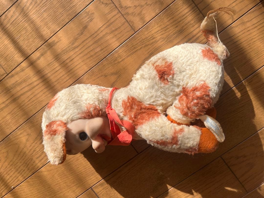 ラシュトン　ラバーフェイス　Rushton Star Creation