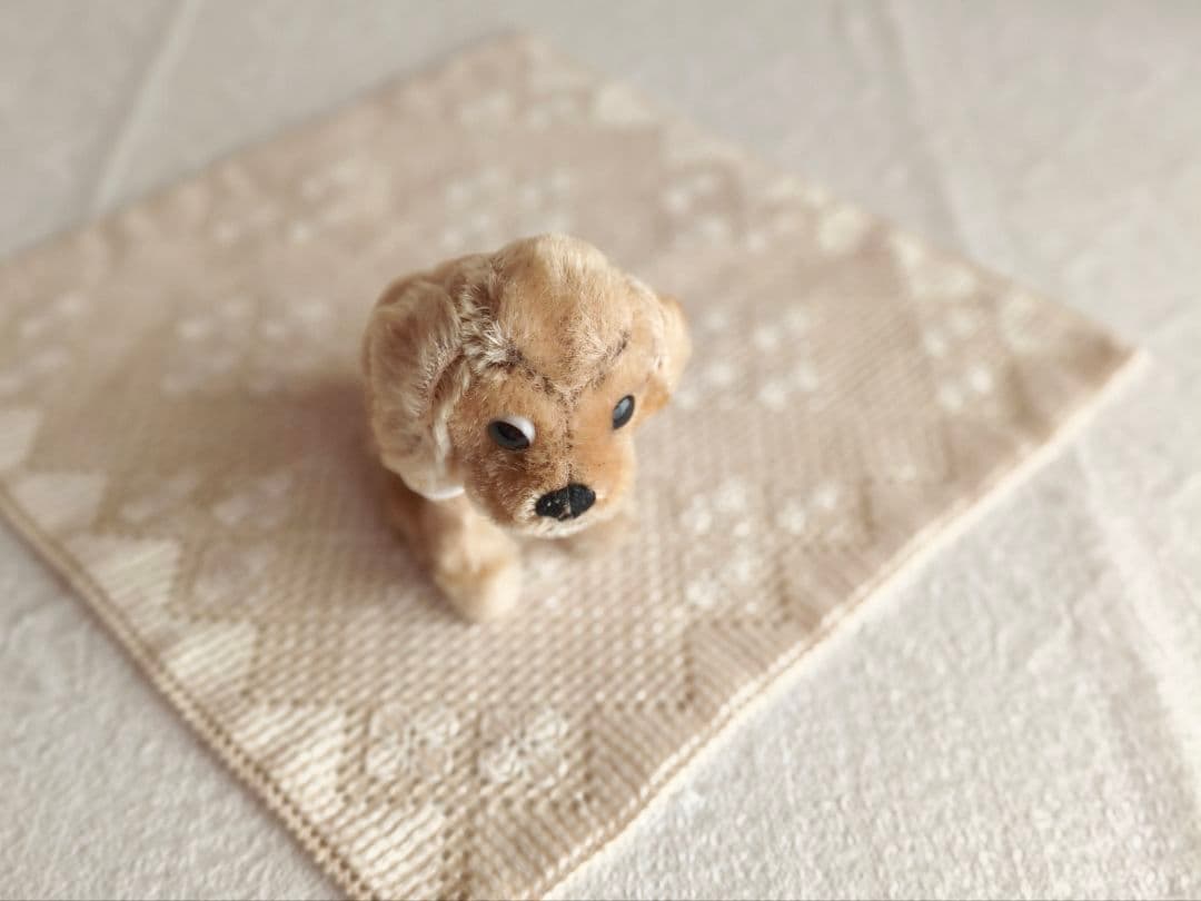 * vintage dogl ❀ きょとんとしたお顔が 可愛い ワンちゃん