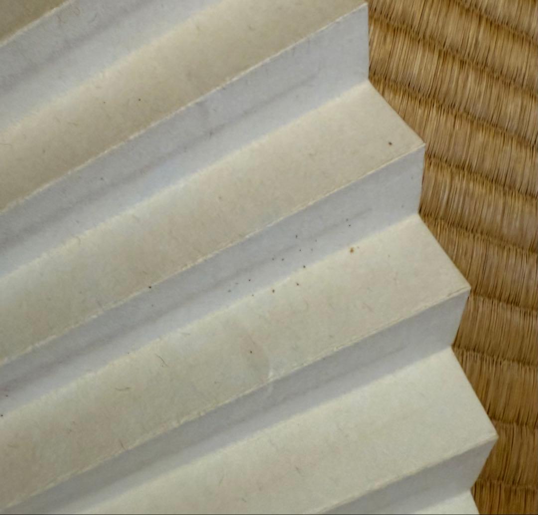 囲碁棋士　羽根直樹直筆扇子二点セット