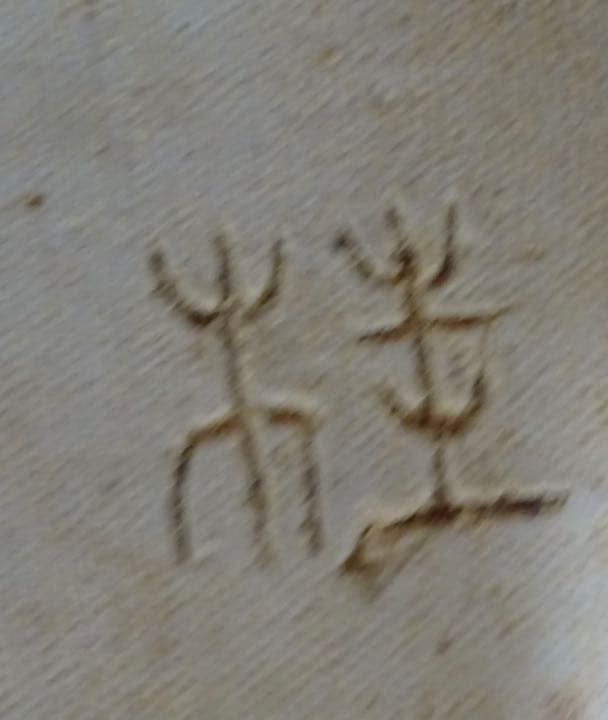 壺　茶壺　（高価な品）