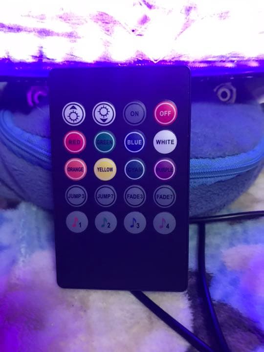 シグナス3型テール RGB レインボーテール