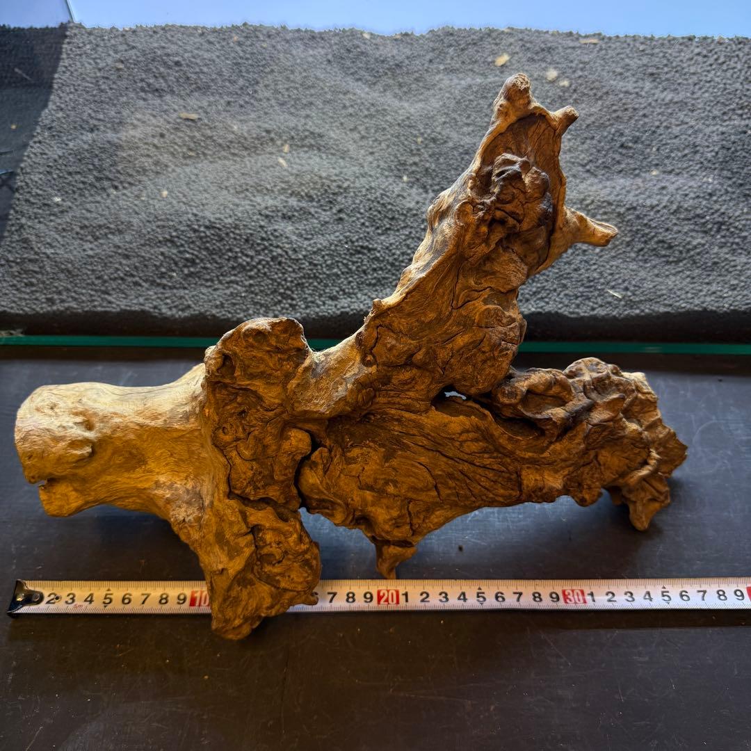 MJW-6882 ジンジャーウッド レイアウトセット 天然流木 アクアリウム