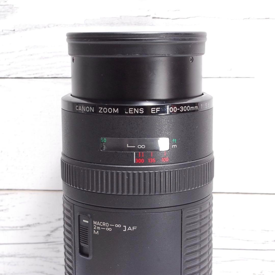 遠くの風景も人物もOK✨Canon EF 100-300 超望遠レンズ キヤノン