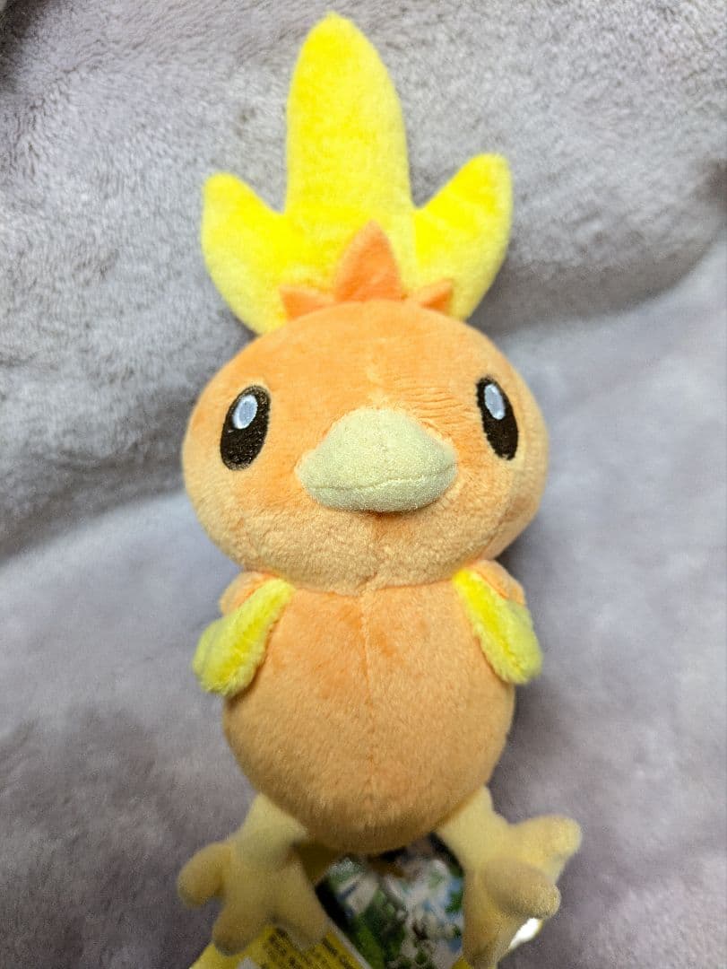 ポケモンセンター限定 ポケモンキャンパス マスコット アチャモ ぬいぐるみ