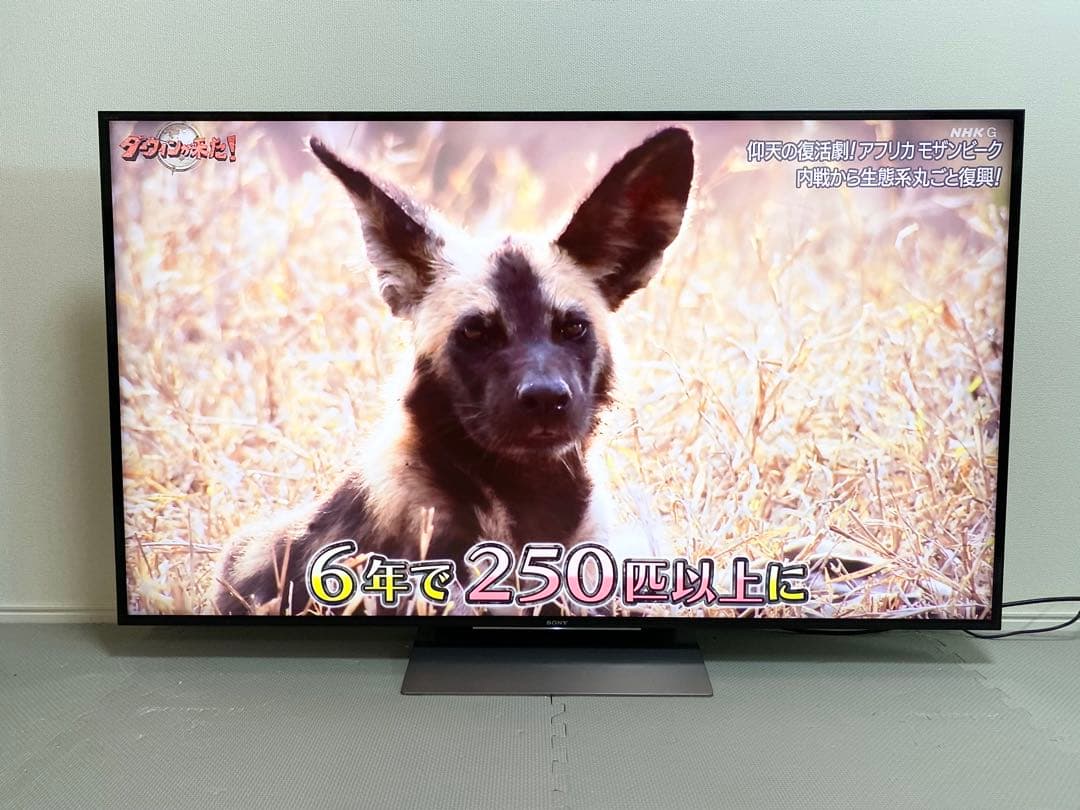 1都4県配送無料 SONY BRAVIA KJ-55X9300D 4K テレビ