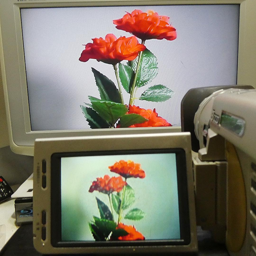 動作良好 ソニー DCR-TRV900 MiniDV ビデオカメラ DVD化に