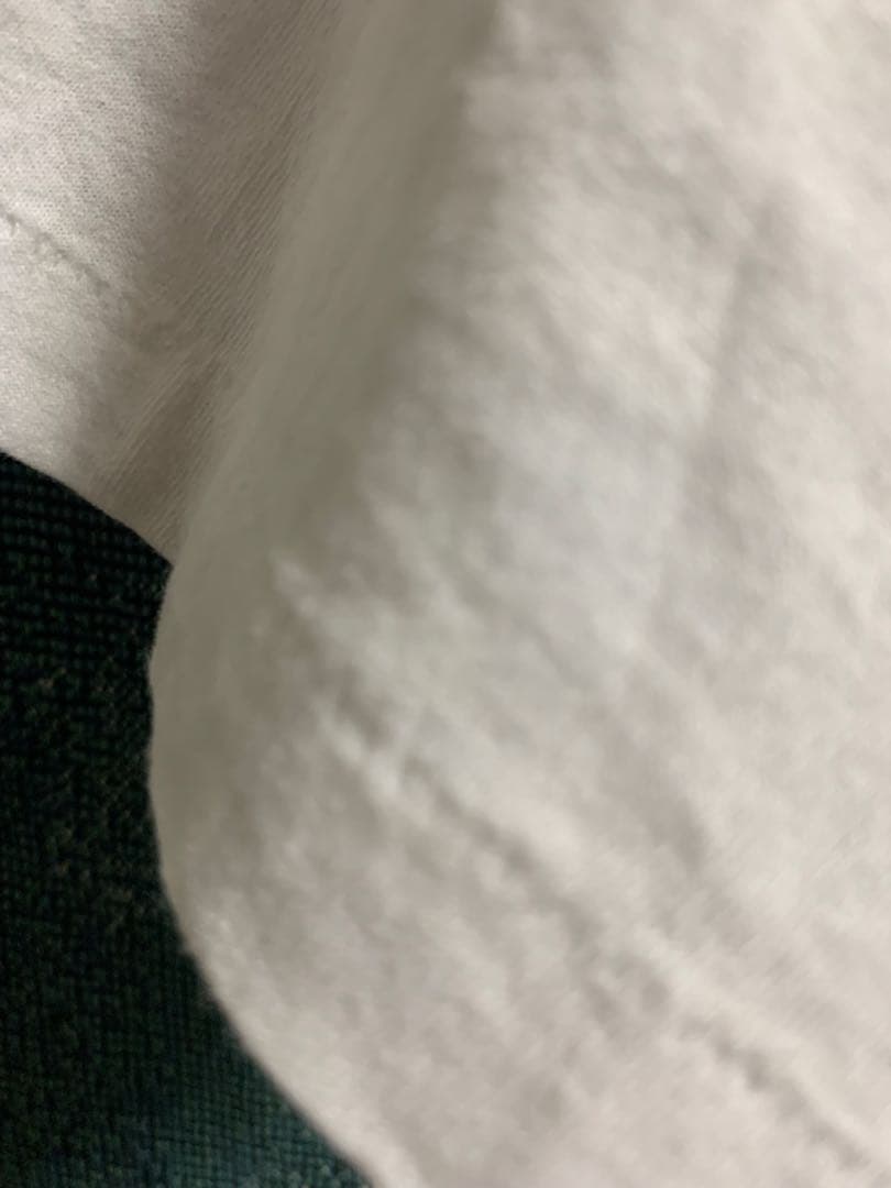 スペシャル80s USA製 スパイダーウェブ Tシャツ シングルステッチ 白