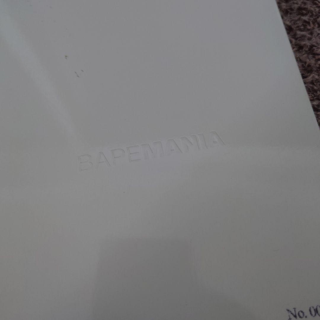 ★APE エイプ 初期 1999年 BAPEMANIA ベイプマニア カタログ★