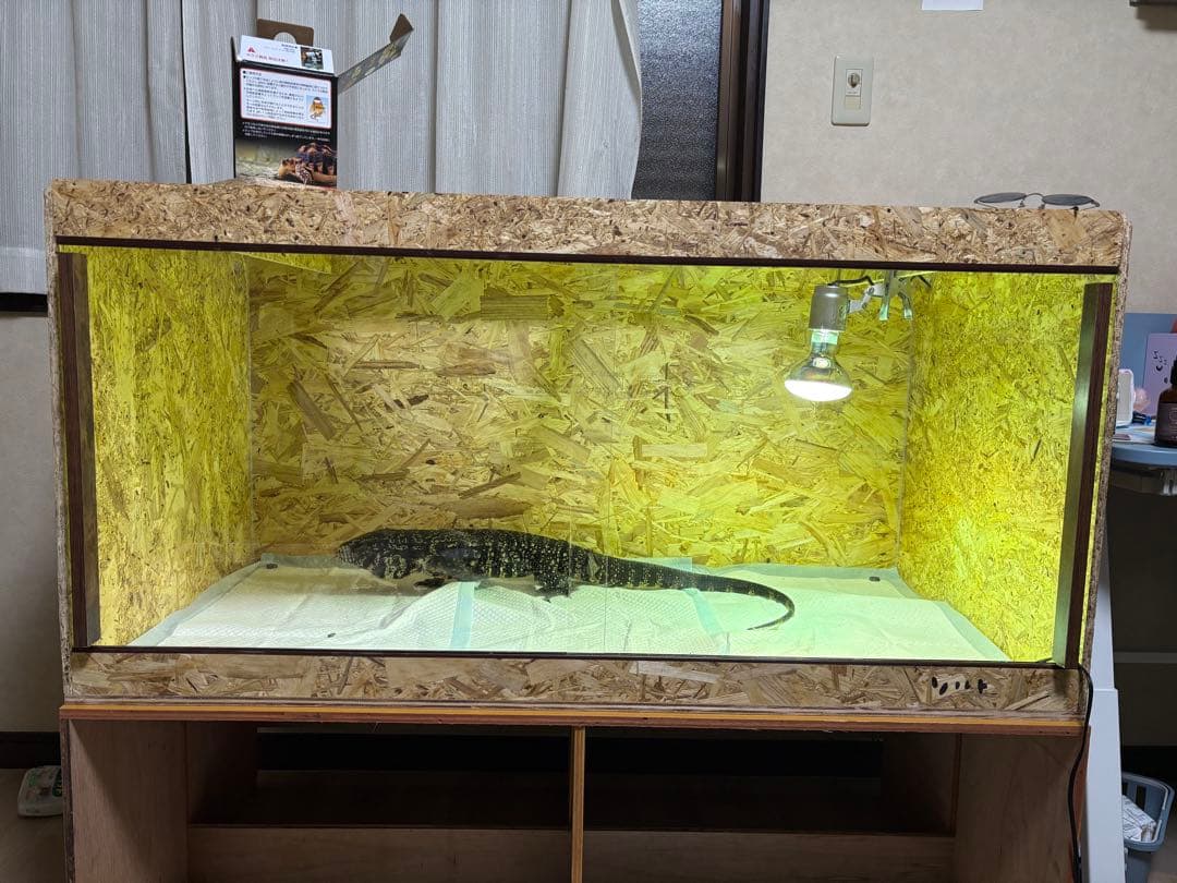 蛍　1506045 前面窓まで15cm お急ぎ