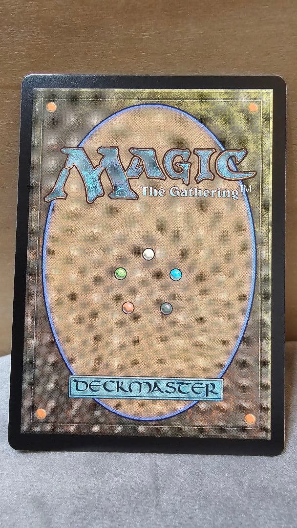 リスティックの探究 藤ちょこ絵