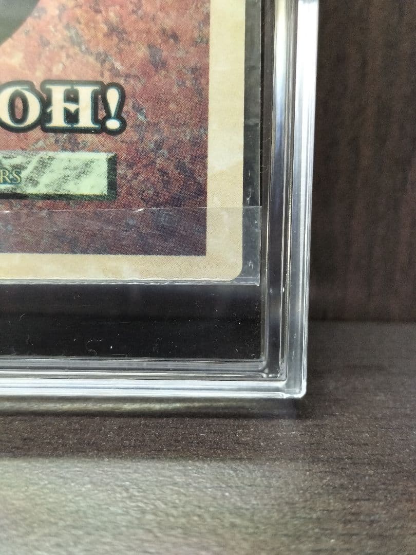 ツ*ム様 未開封　ホーリーナイトドラゴン　聖夜竜