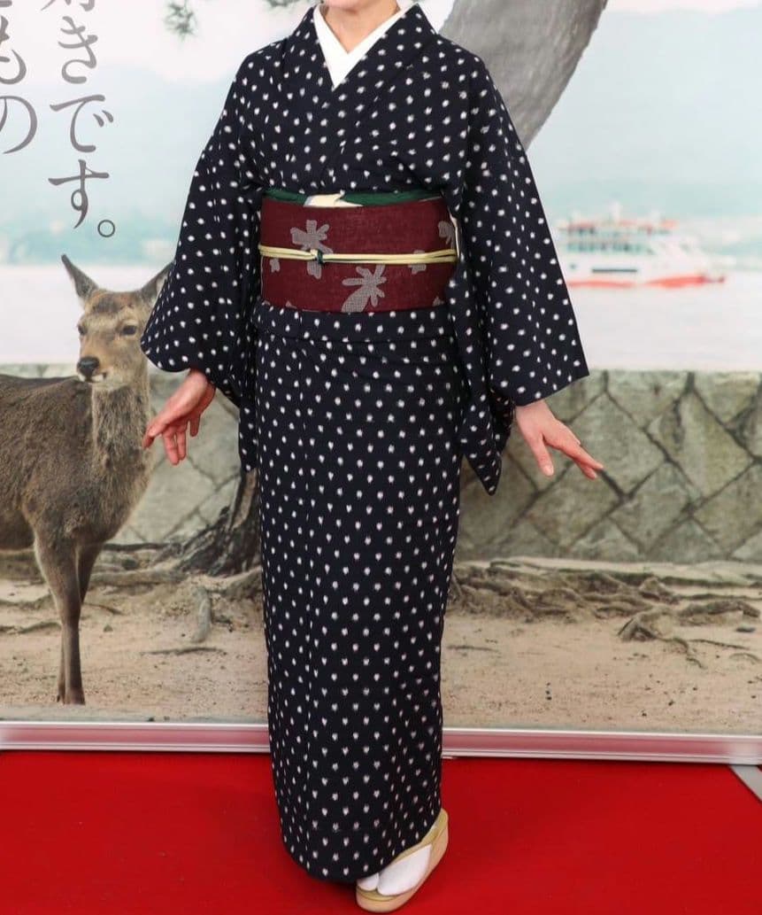 木綿の着物 - 商品一覧 | やまとオンラインストア 久留米絣 木綿着物 梅屋