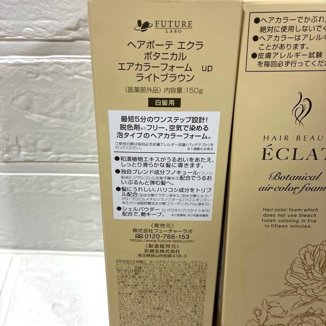 ヘアボーテ エクラ ボタニカル エアカラーフォームup ライトブラウン 2本
