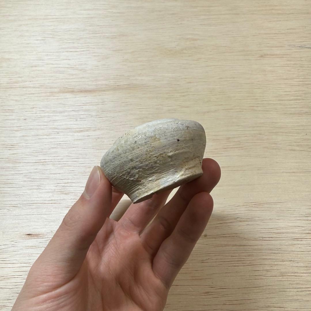 古瀬戸 小壷 蓋物 鎌倉時代 山茶碗 古美術 骨董 古常滑 古信楽