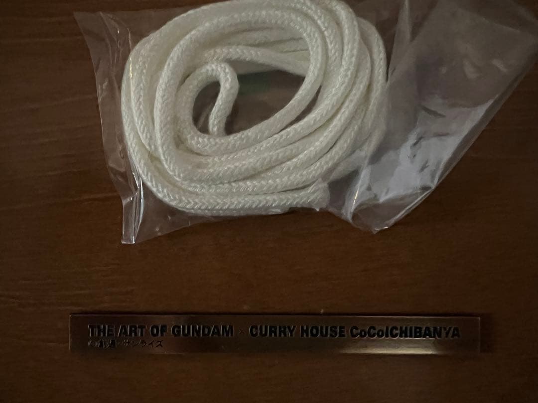 ガンダムキャンパスアート　CoCo壱